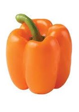 Orange Bell Pepper