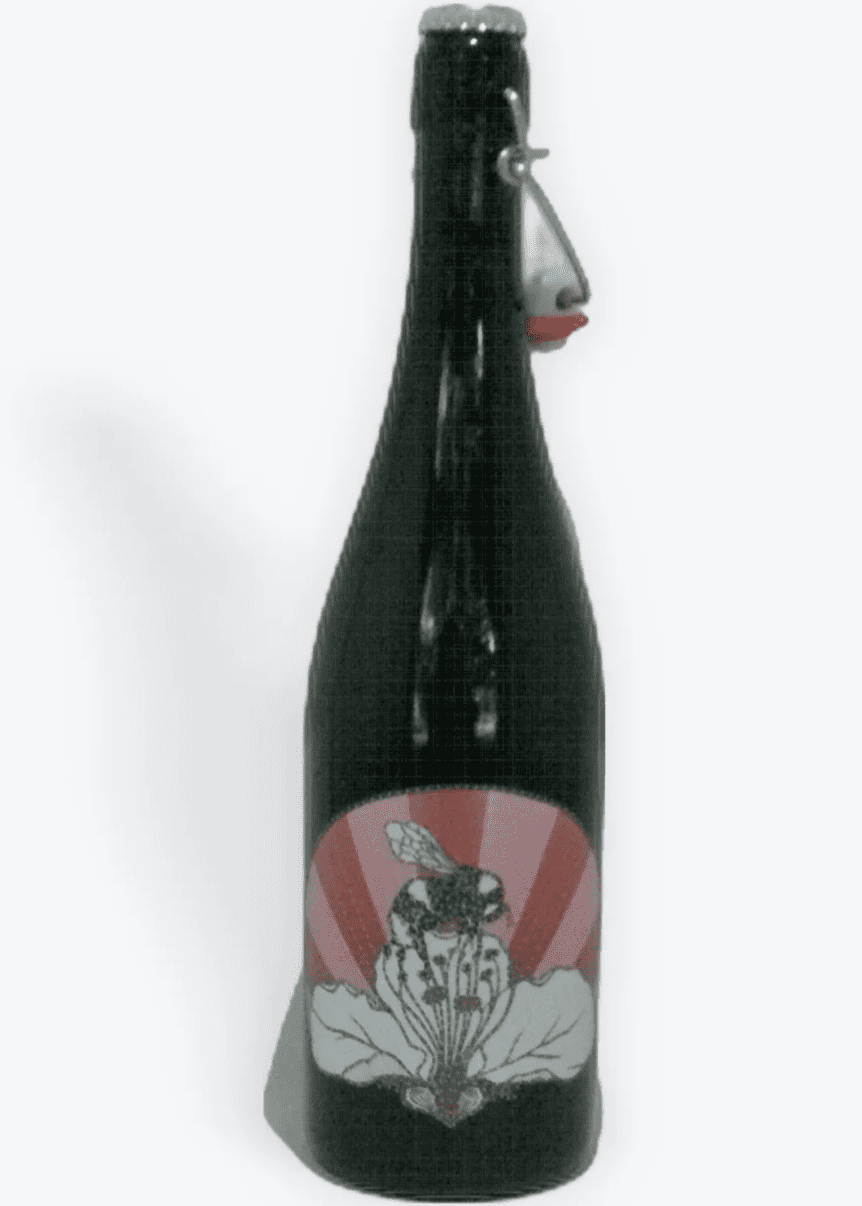 ART & SCIENCE Pollinia Pet-Nat 2021