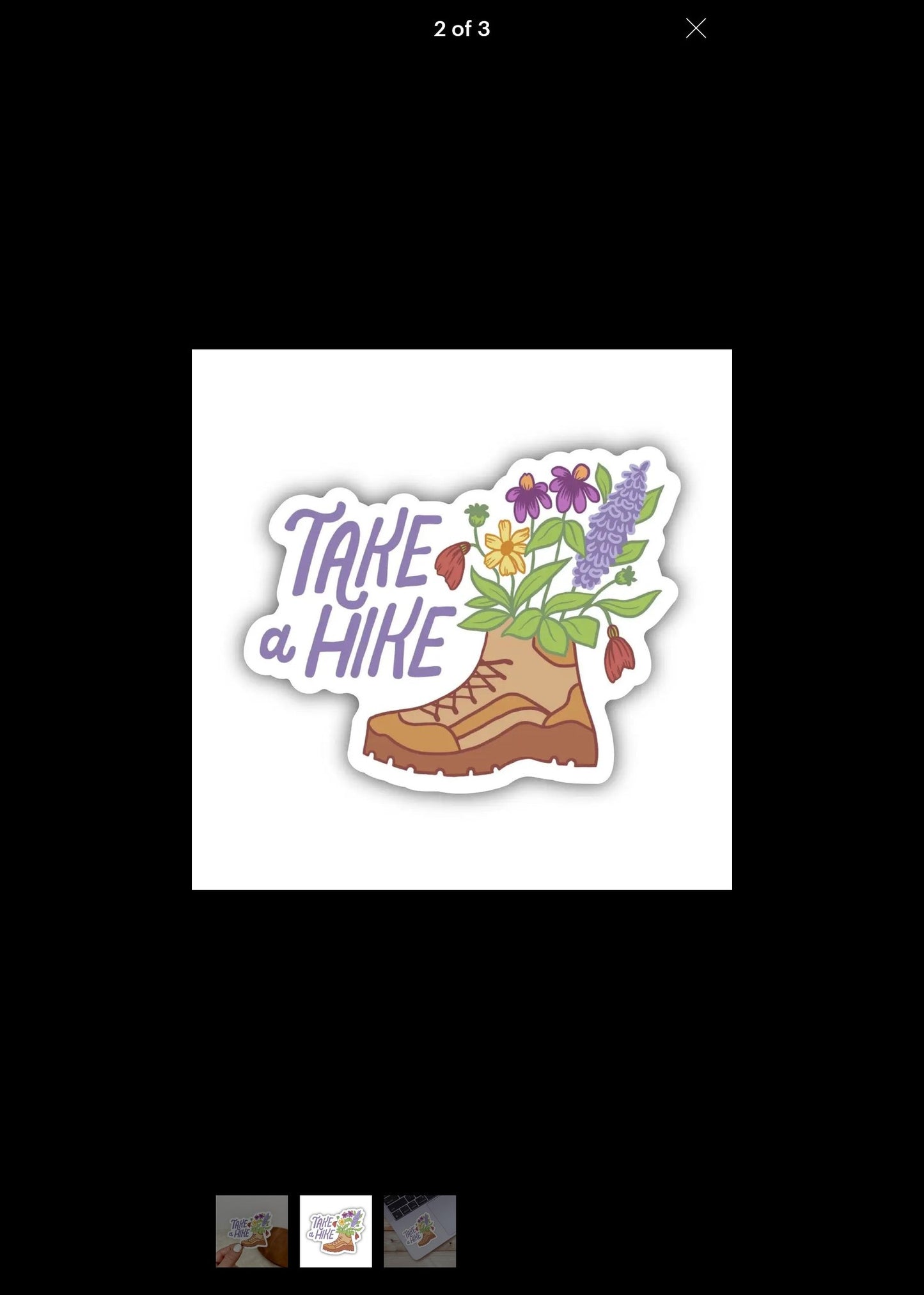 BIG MOONS Sticker Take a Hike