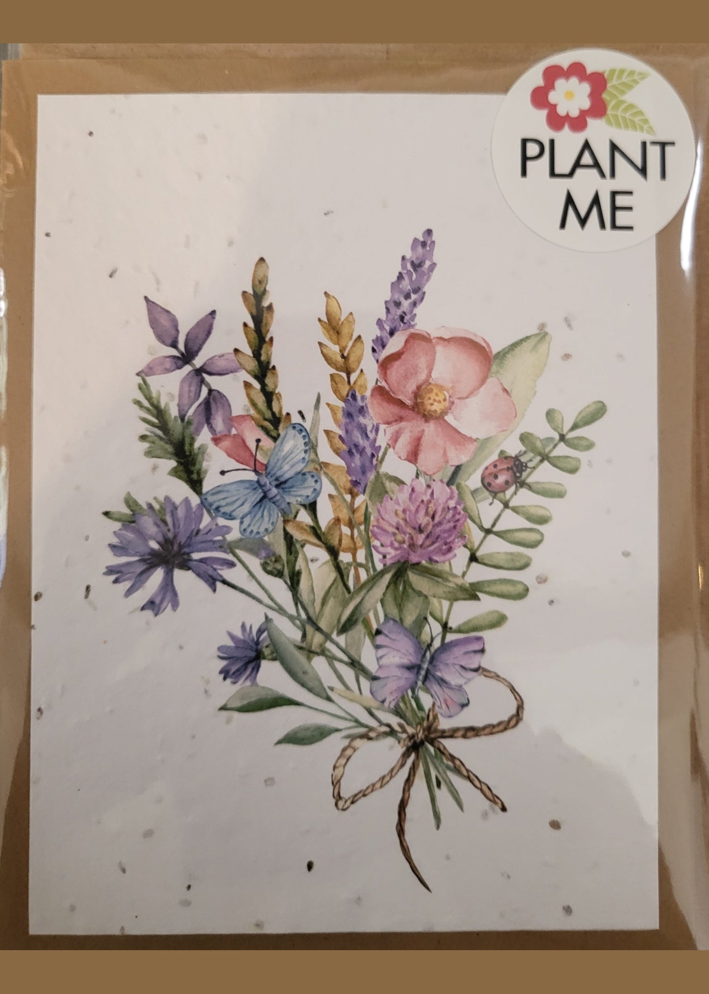 SEEDY CARDS Blank Card