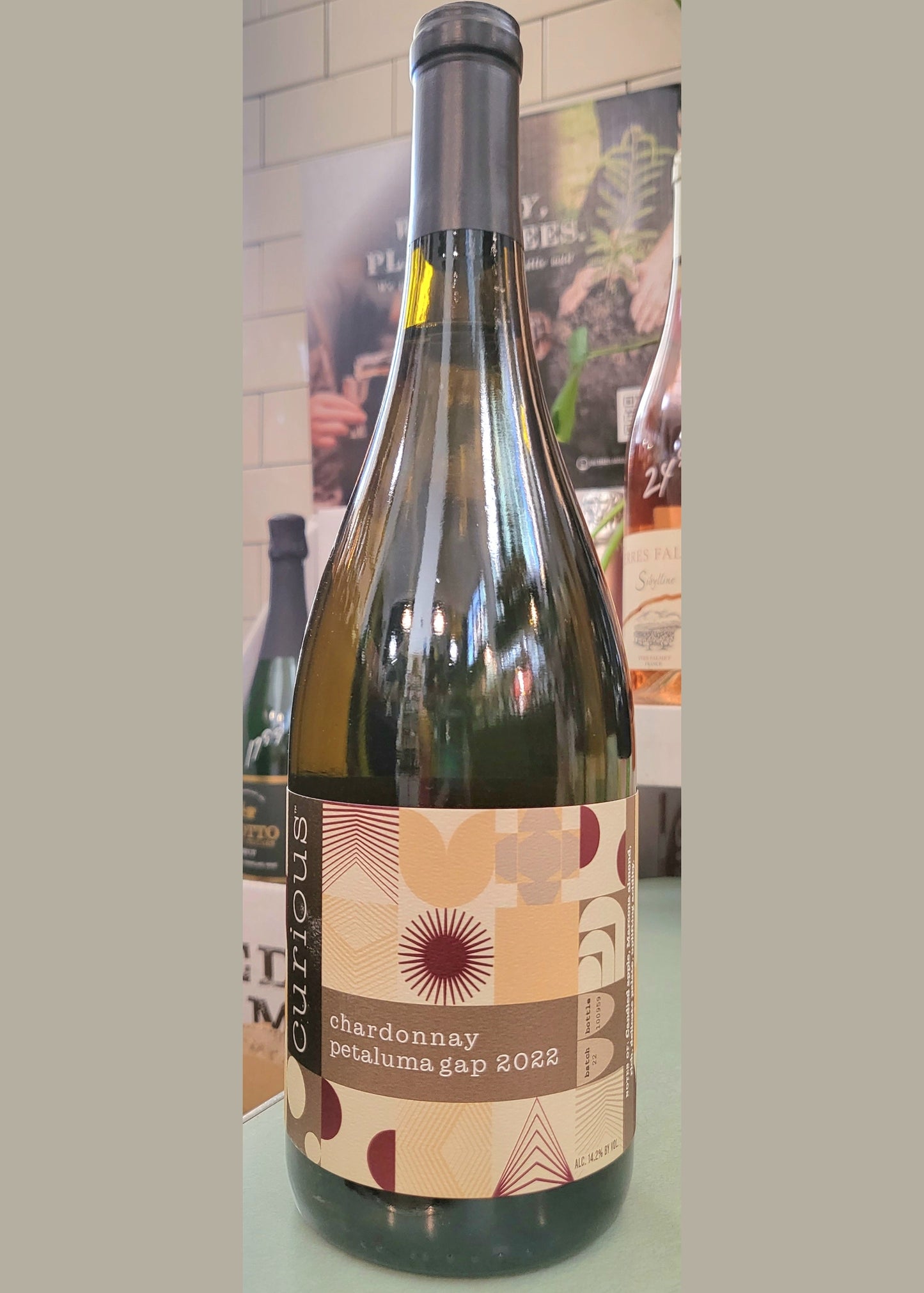 CURIOUS Chardonnay Petaluma Gap 2023 (Copy)