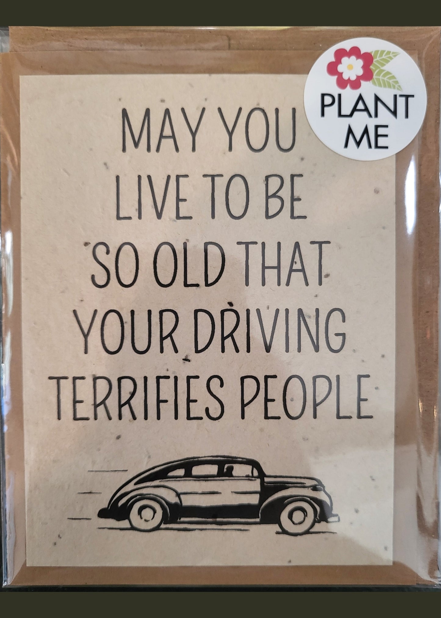 SEEDY CARDS (Growing Old)