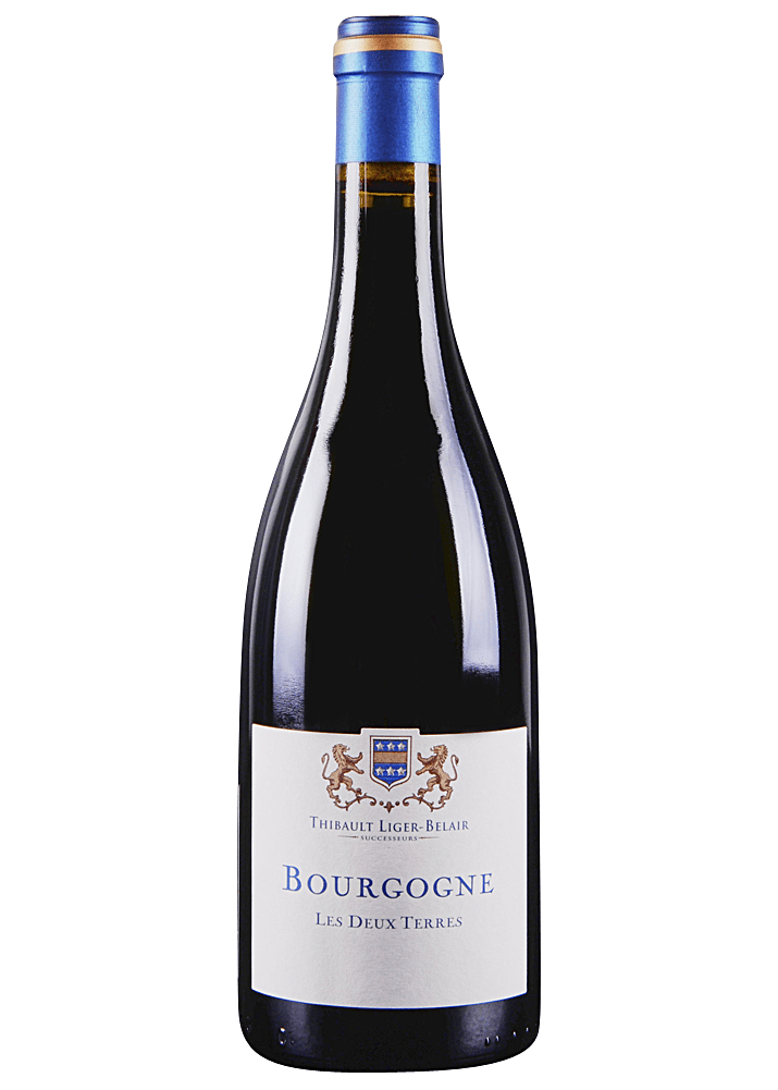 THIBAULT LIGER BELAIR "Les Deux Terres" Bourgogne Gamay 2021