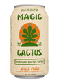 MAGIC CACTUS Spiced Peach