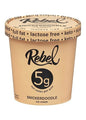 REBEL ICE CREAM Snickerdoodle