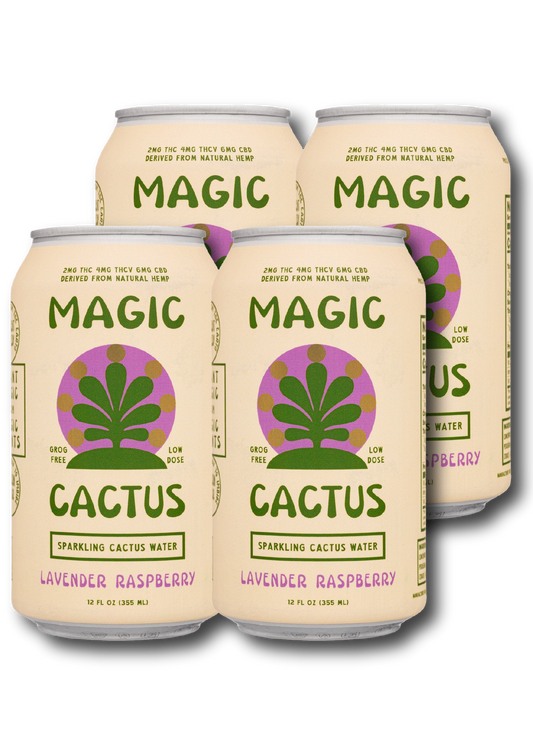 MAGIC CACTUS Lavender Raspberry 4 Pack