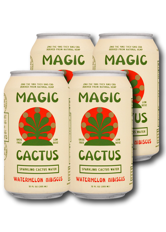 MAGIC CACTUS Watermelon Hibiscus 4 Pack