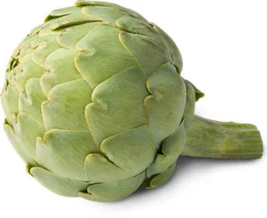 ARTICHOKE