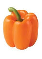 Orange Bell Pepper