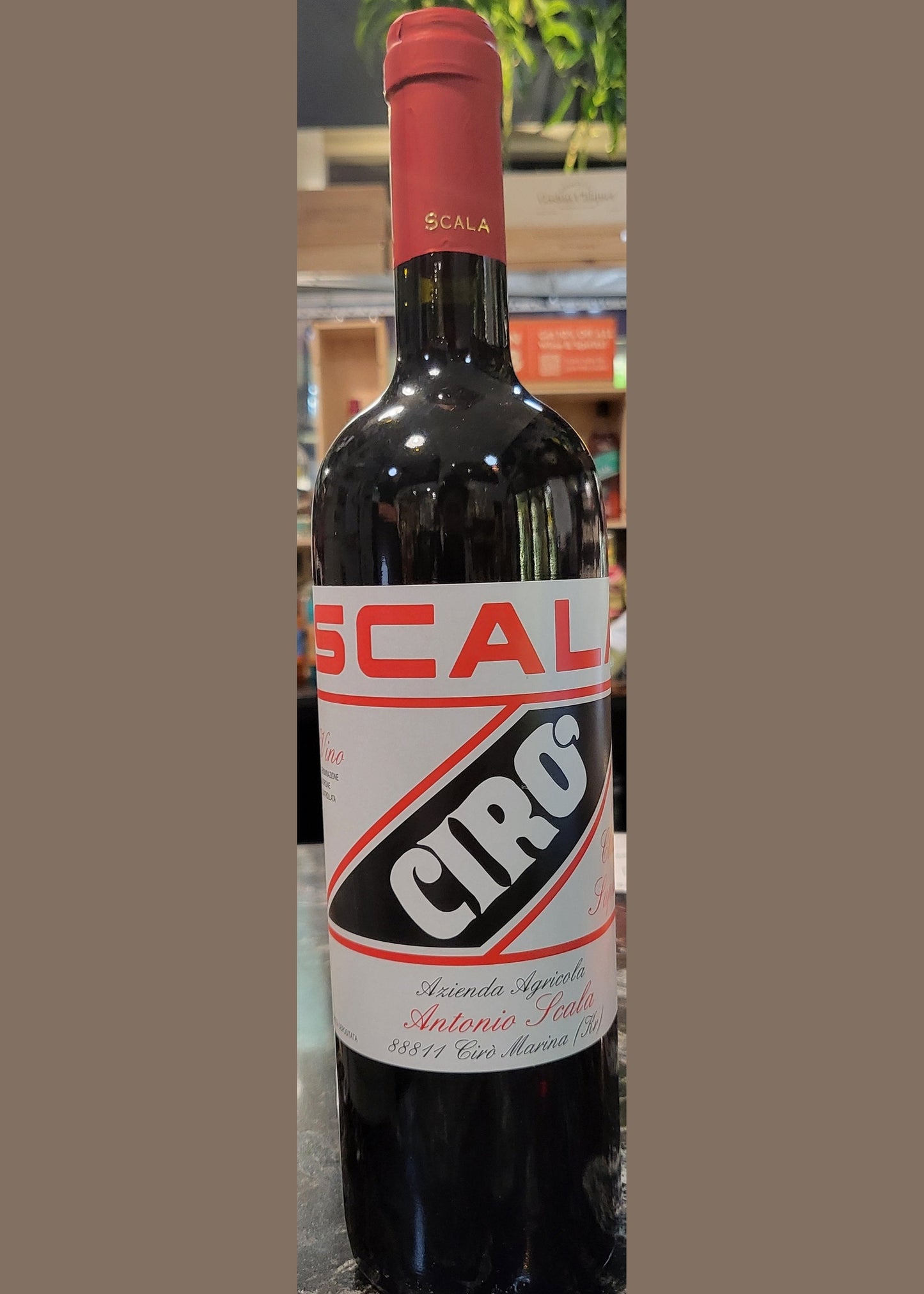 SCALA CIRO Rosso Classico 2022