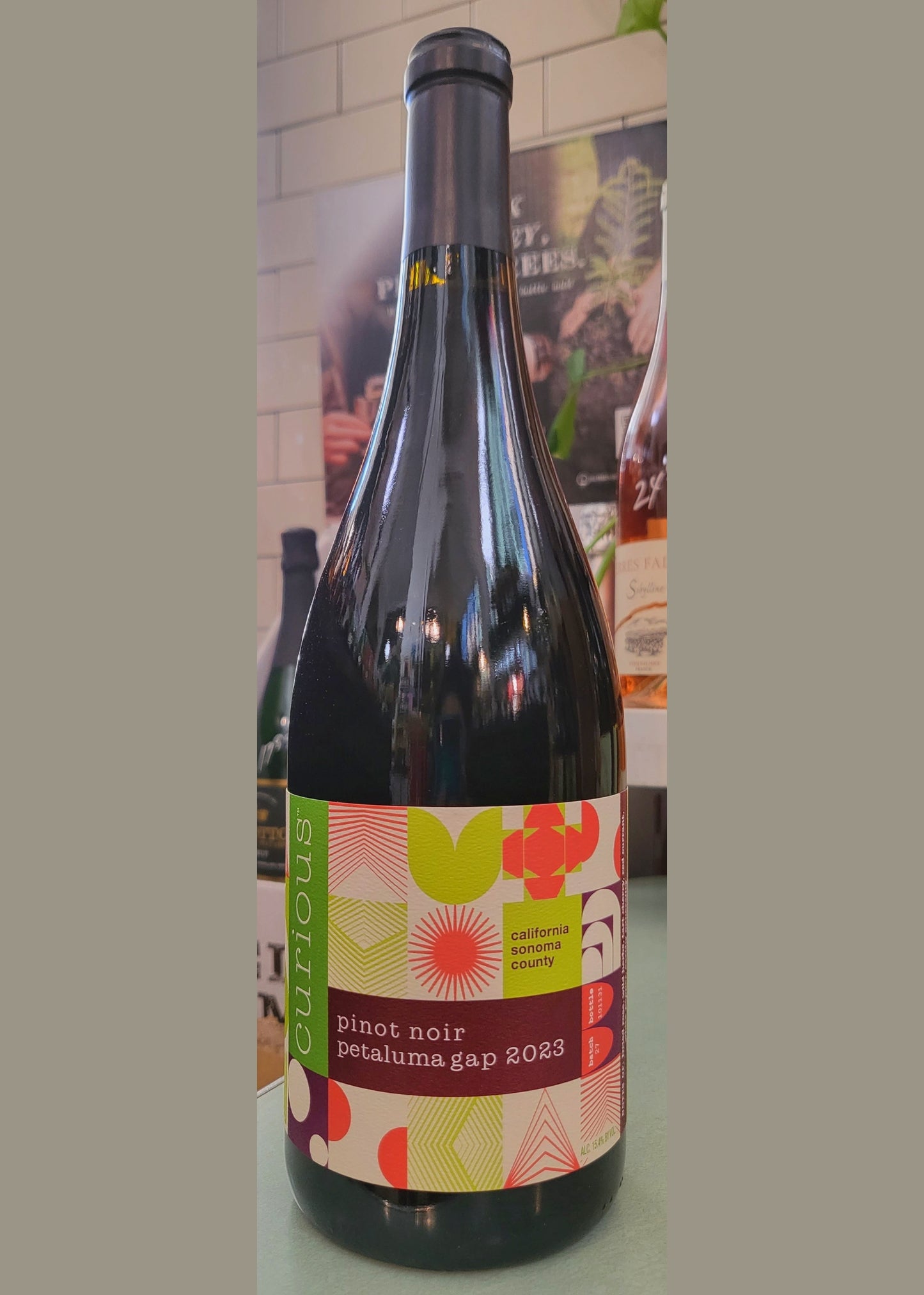 CURIOUS Pinot Noir  Petaluma Gap 2023