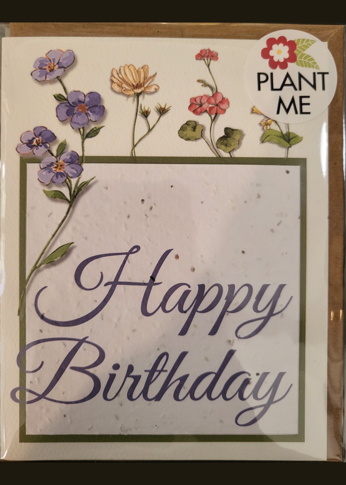 SEEDY CARDS B-Day