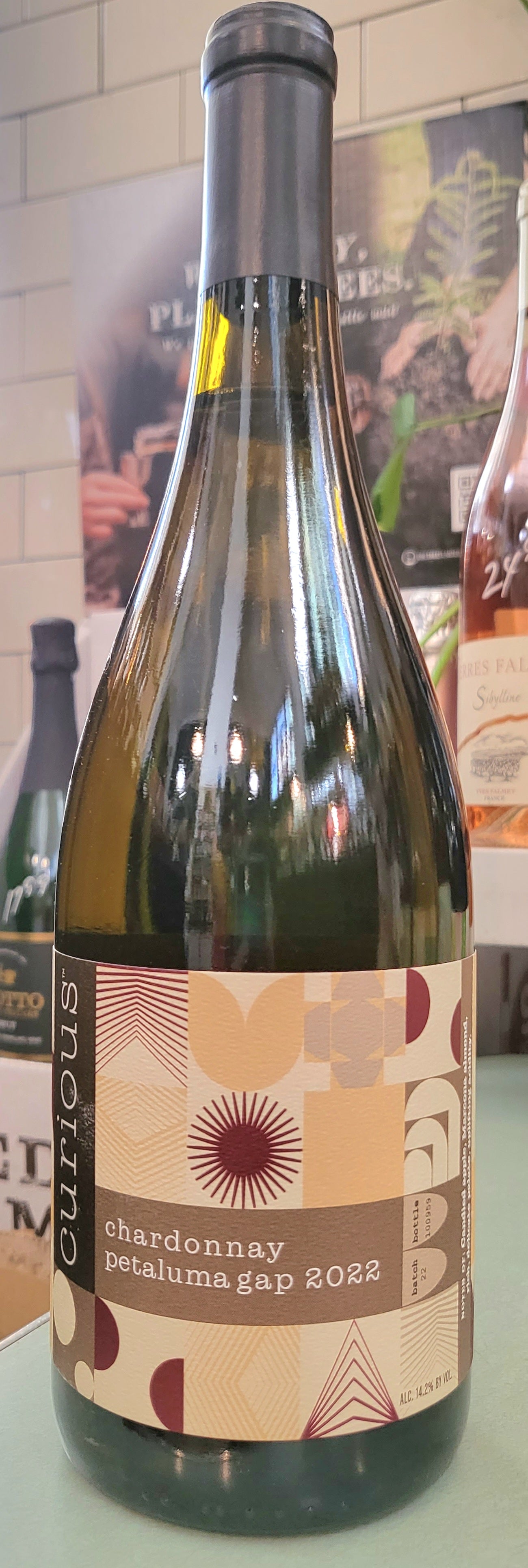 CURIOUS Chardonnay Petaluma Gap 2023 (Copy)