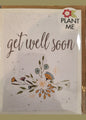 SEEDY CARDS Get Well