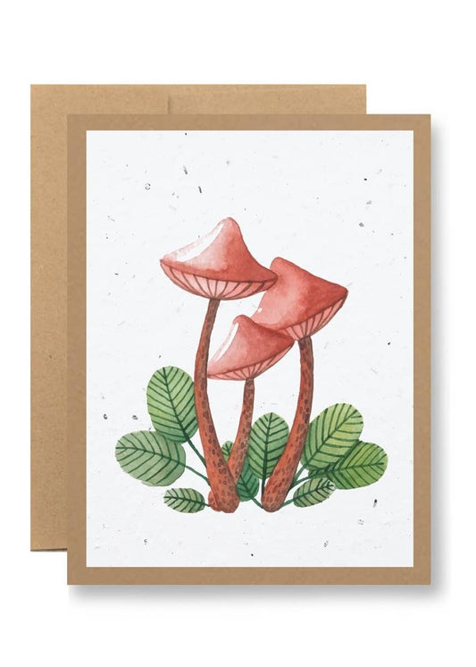 SEEDY CARDS Red Mushroom Card